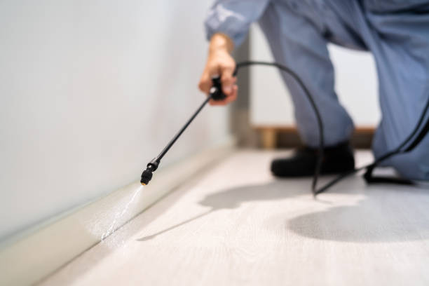 Licensed Fumigation Services service in Vaughn, WA - Nex Pest Control