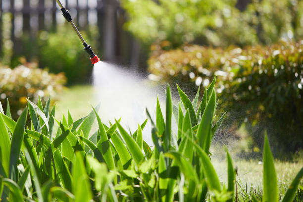 24/7 Emergency Fumigation Services experts in Vaughn, WA