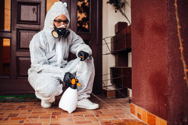 Reliable Fumigation Services contractor in Vaughn, WA by Nex Pest Control
