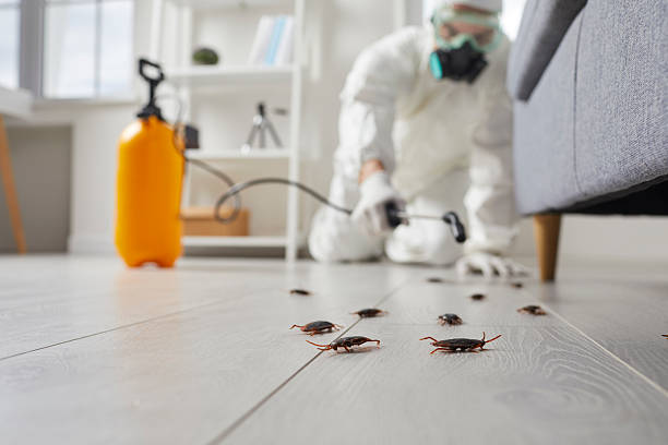 Trusted Cockroach Control service in Vaughn, WA - Nex Pest Control